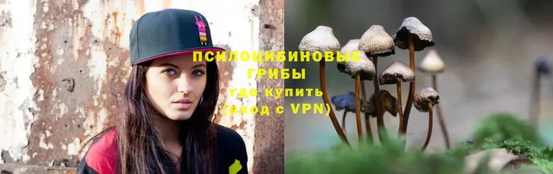 ссылка на мегу tor  Бугульма  Галлюциногенные грибы Psilocybe 